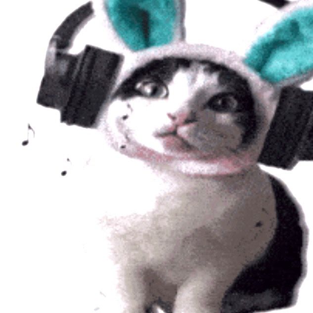 Wy