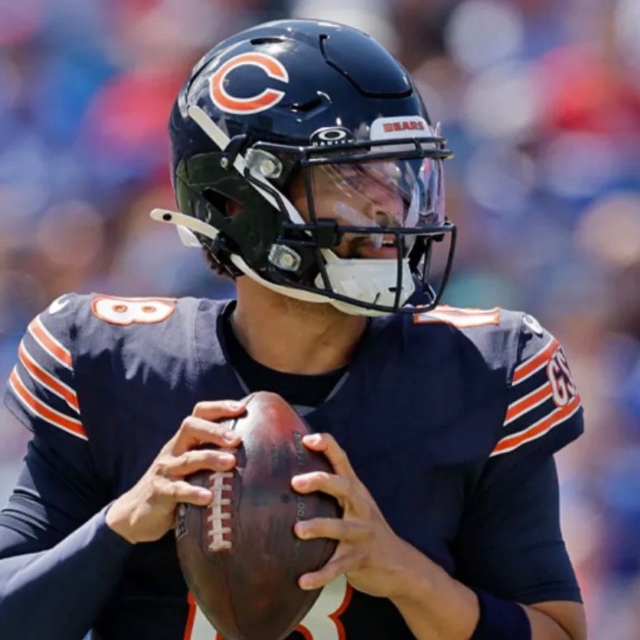 BearDOWN