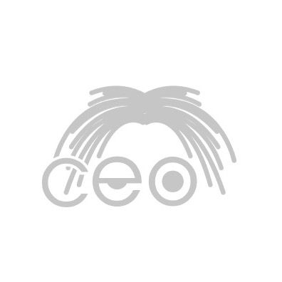 Ceo