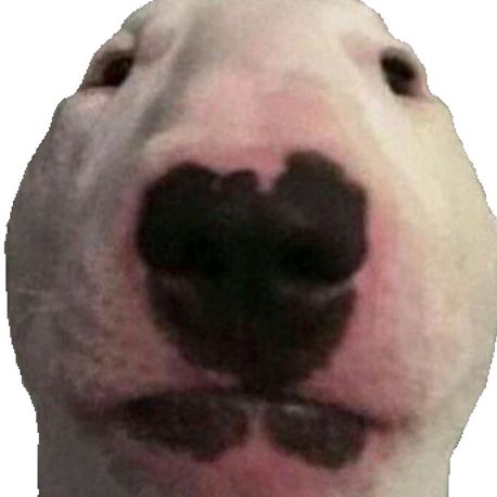 Austroo