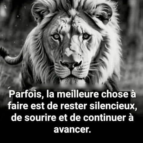 Mr.olivier 