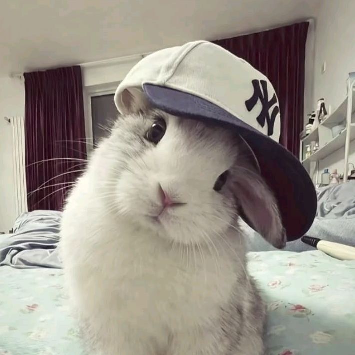 Indie Hansen