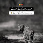 Raja Zeshan