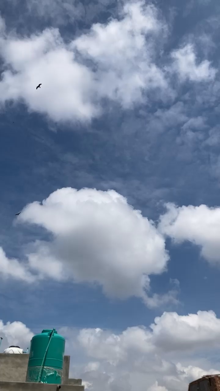 Sky