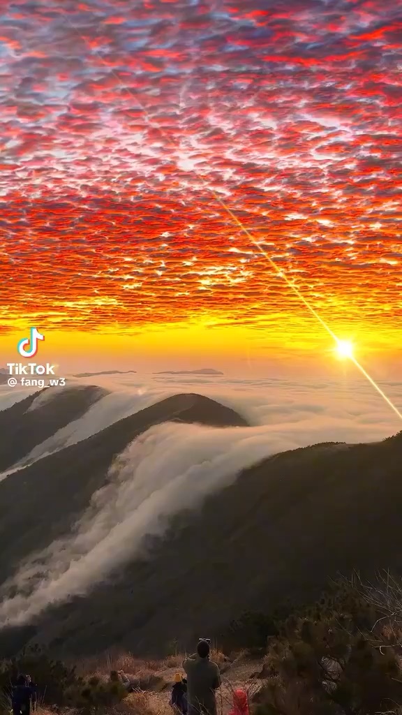 The sea of clouds and the sunset are really beautiful. #sunset #fyp