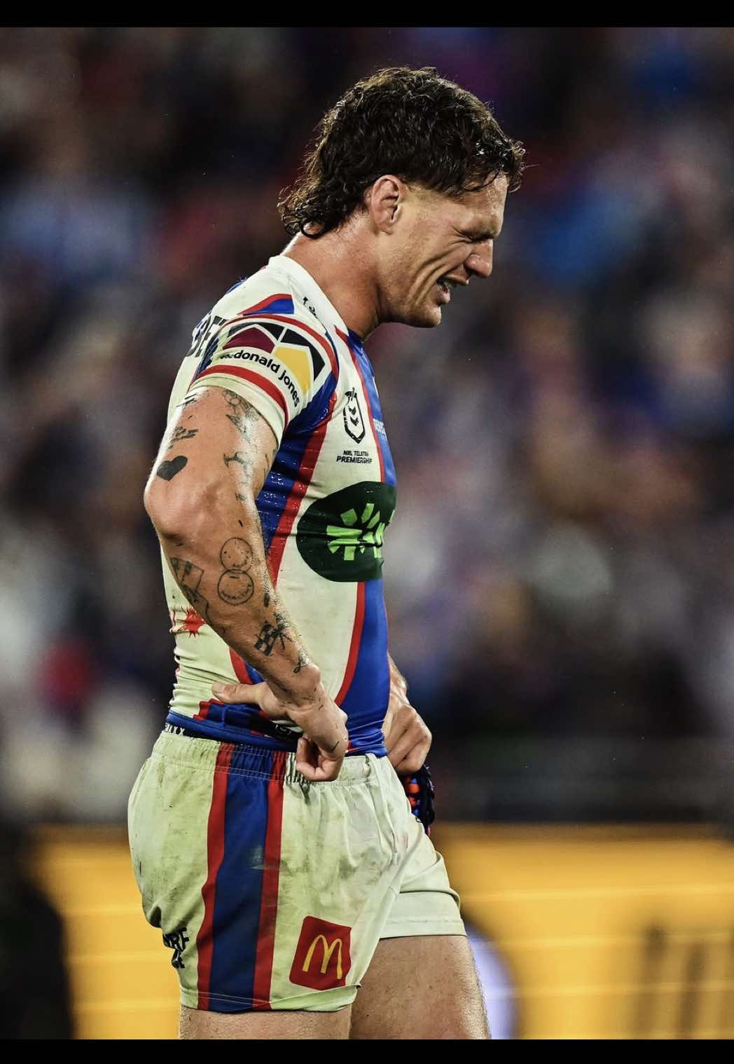 History. | #fyp#nrl#newcastleknights#blowup#ponga