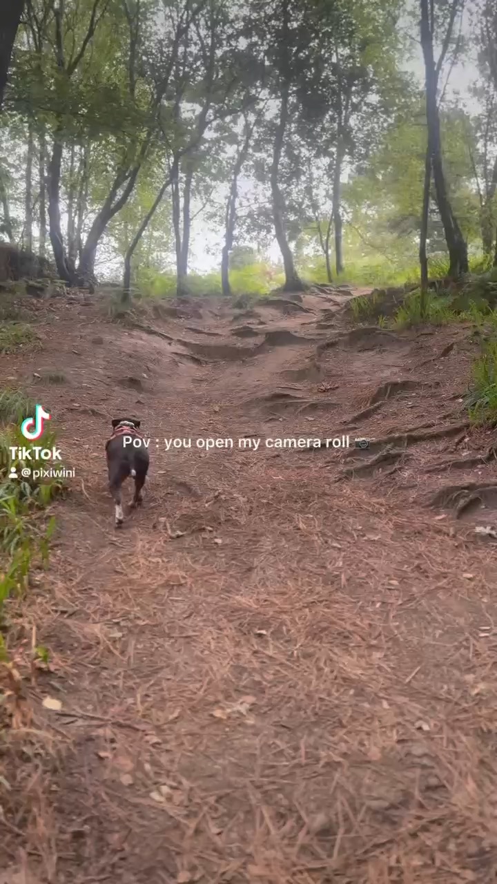 pov