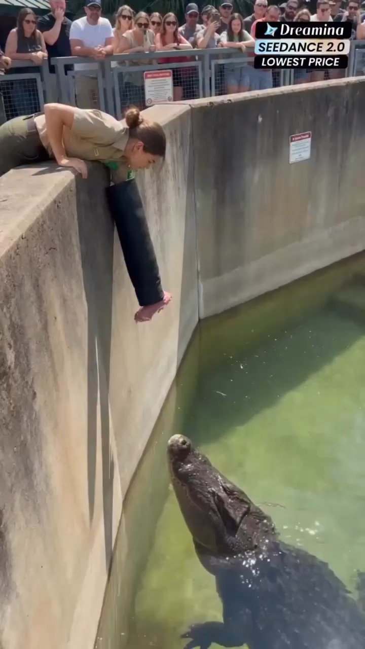 Eaten by crocodile