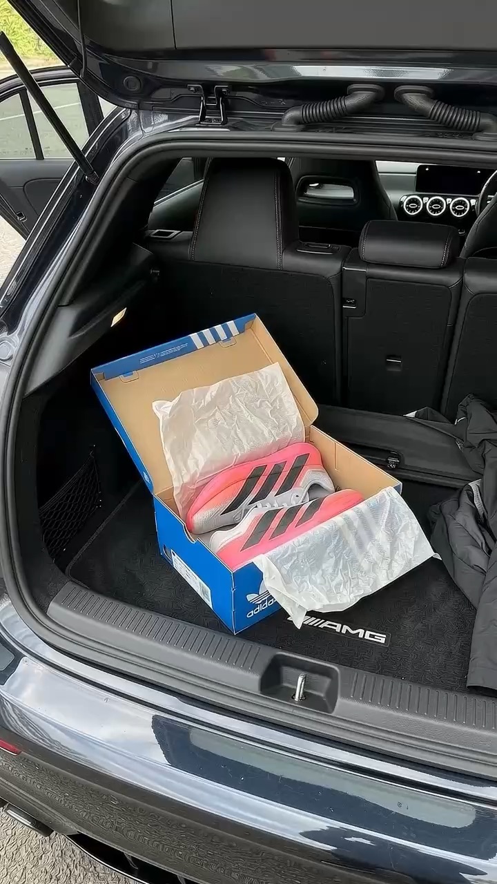 Zapatillas