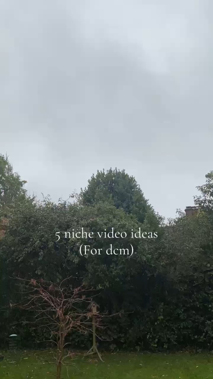 Niche video ideas