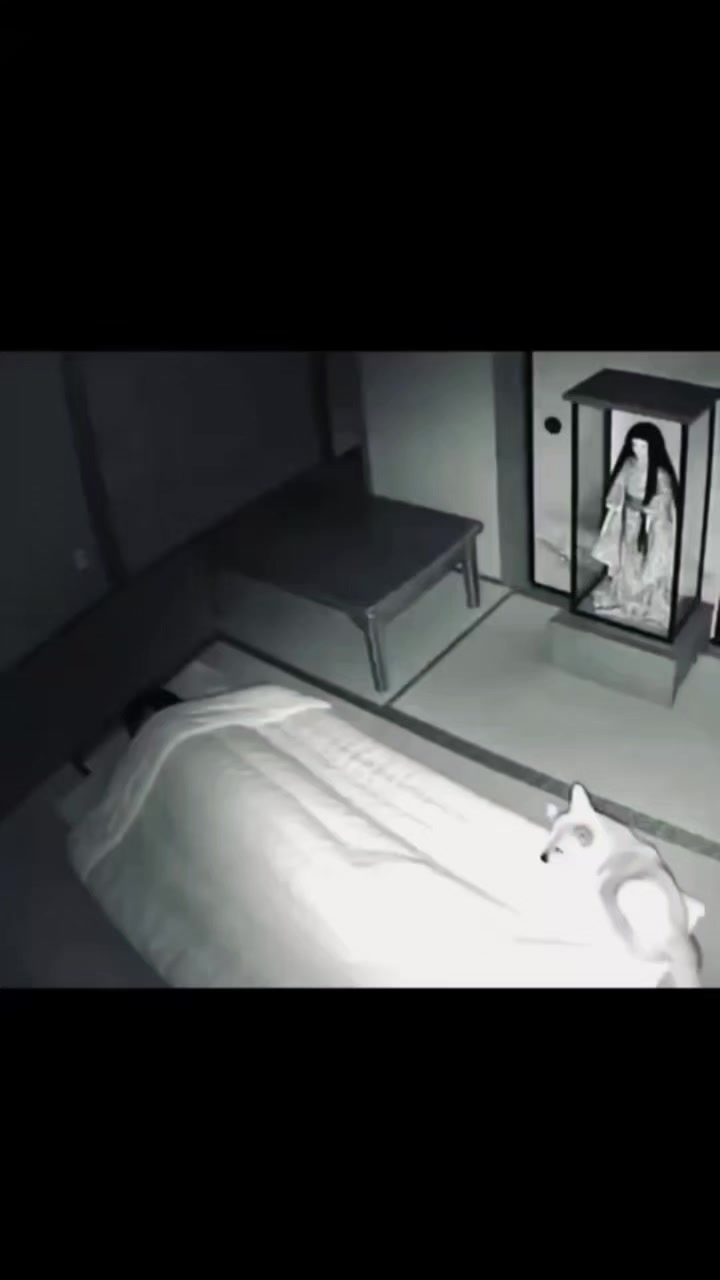 Videos paranormales con musica (ramdon) pt001 #videoviral #videosparanormales #humor #music #parati