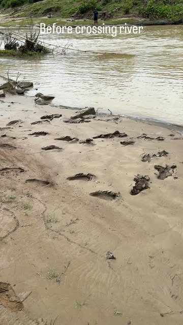 Next time, we’re taking the bridge (if we can find one)