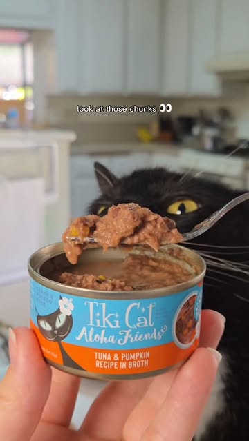 All five of our cats come running for meal time, every time, thanks to @tikicat 🐟 #tikicatpartner #catmom #catmomlif...