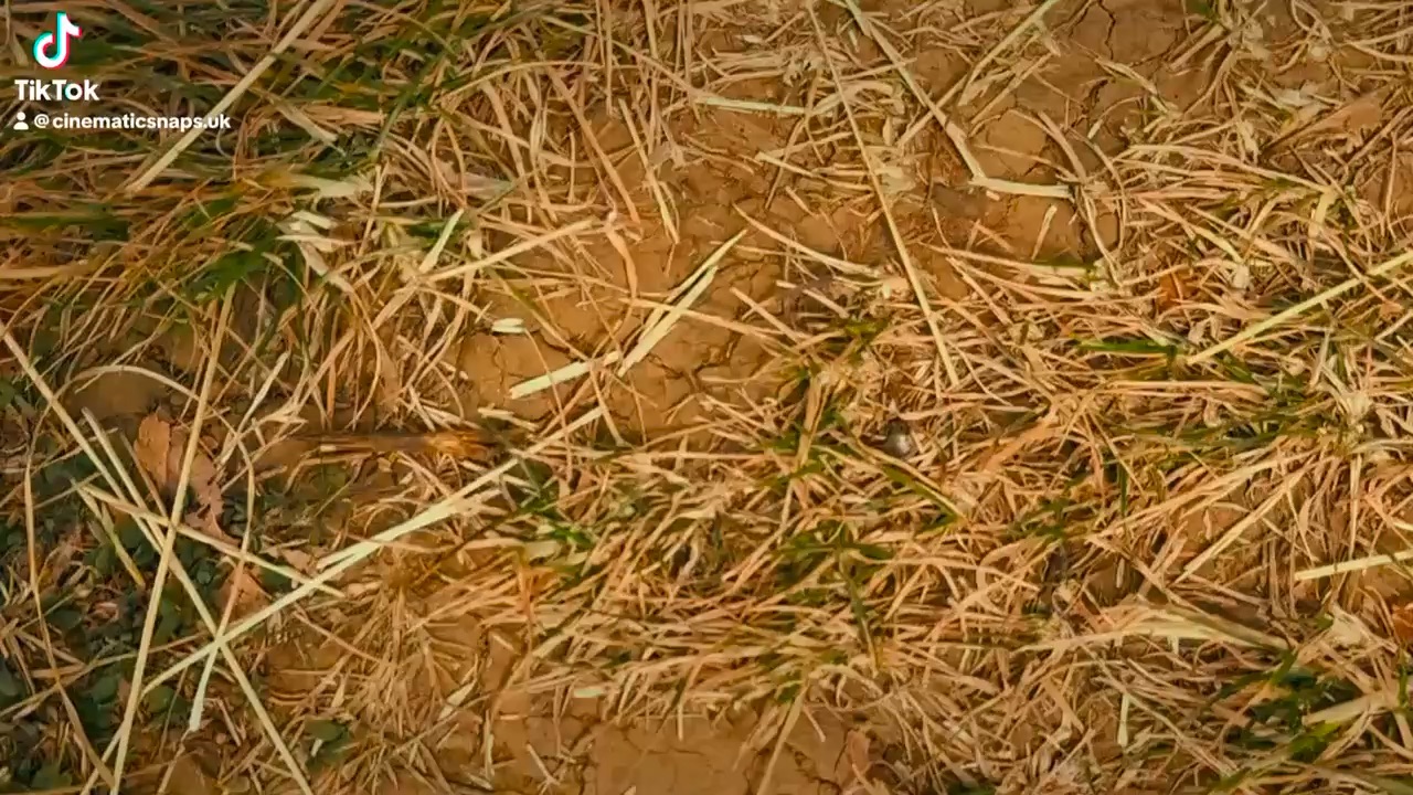 Some of my best shots