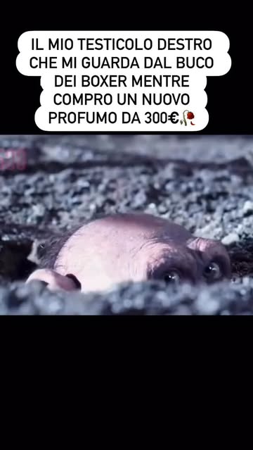 Follow per altri contenuti #foryou #meme #fyp