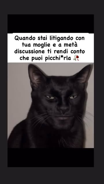 Follow per altri contenuti #foryou #meme #fyp