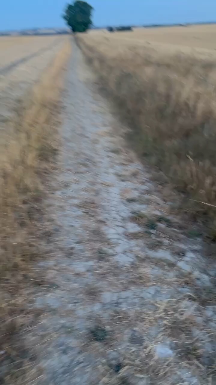 Run in nice field