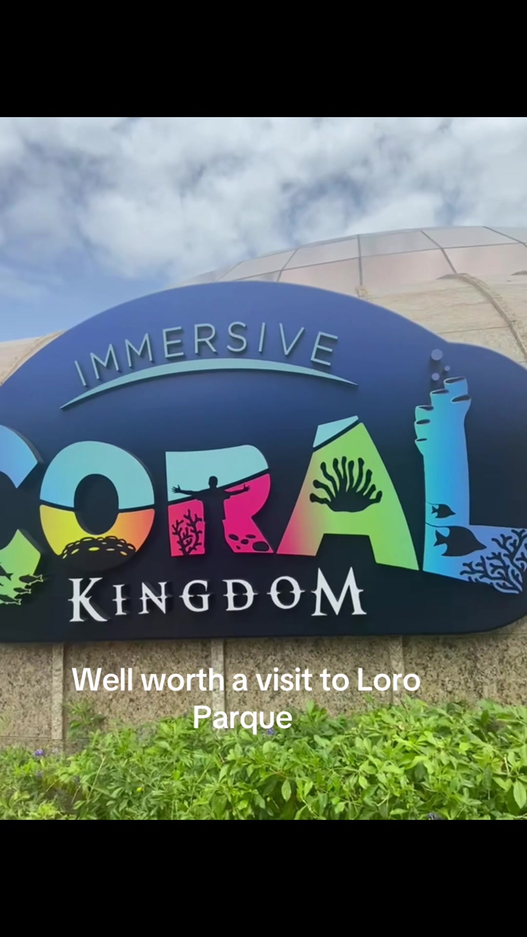 Visit Loro Parque Tenerife #tenerife #loroparktenerife #loroparque #roadtrip #fy