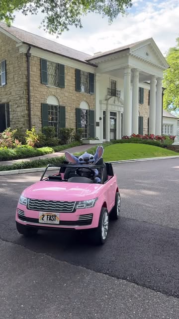 Yesterday, we had the most famous celebrity visit us at Graceland…. Stitch! Is he not the cutest?! Thanks to our frie...