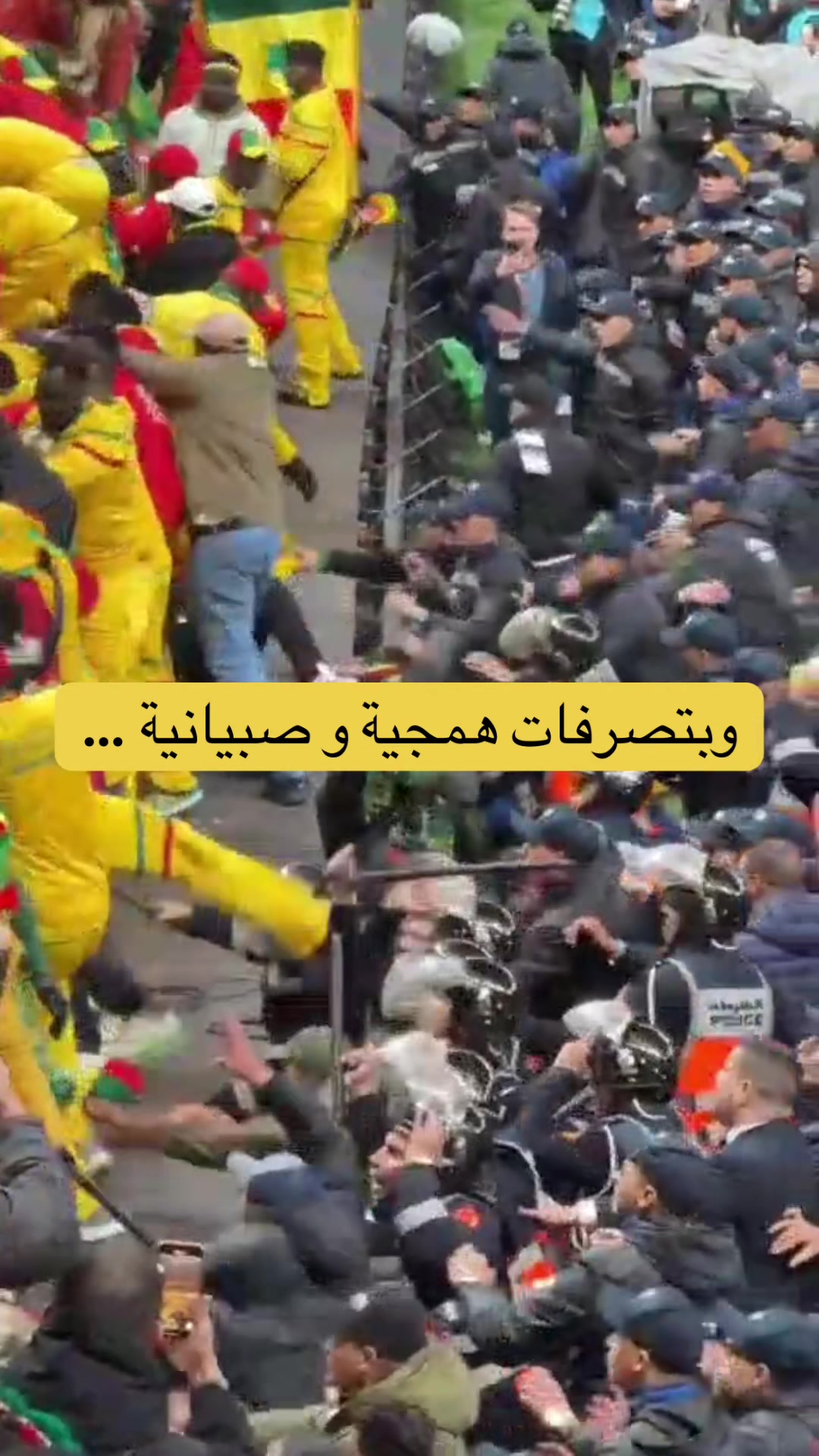 #المغرب🇲🇦تونس🇹🇳الجزائر🇩🇿 #afcon #creatorsearchinsights
