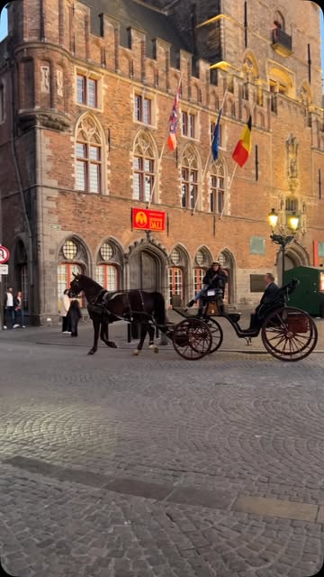 Where the journey feels like a story. 🐴🤎#horse#viralreels #instagood #viral #netherlands