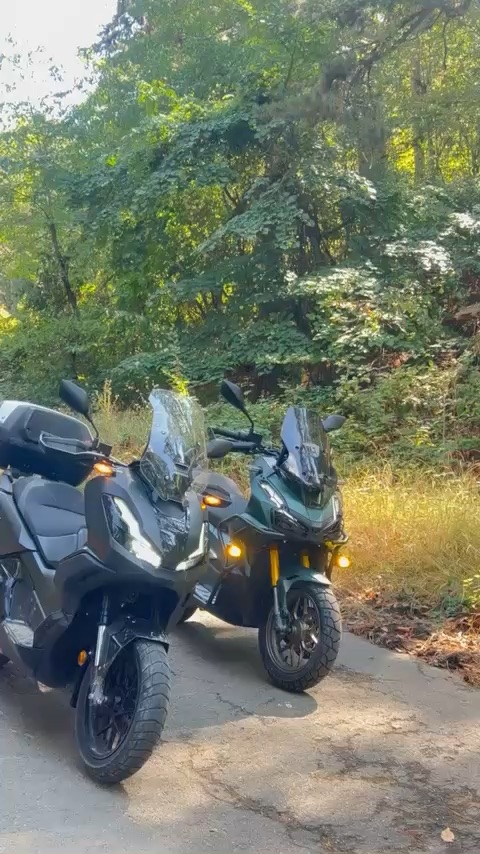 Moto life
