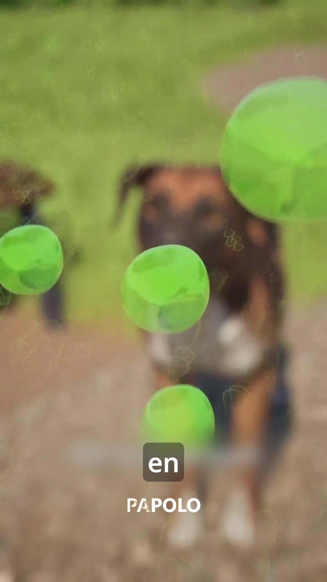 Le rosiaron asido en la cara al firu#perro #maltrato#entretenimiento #fypシ