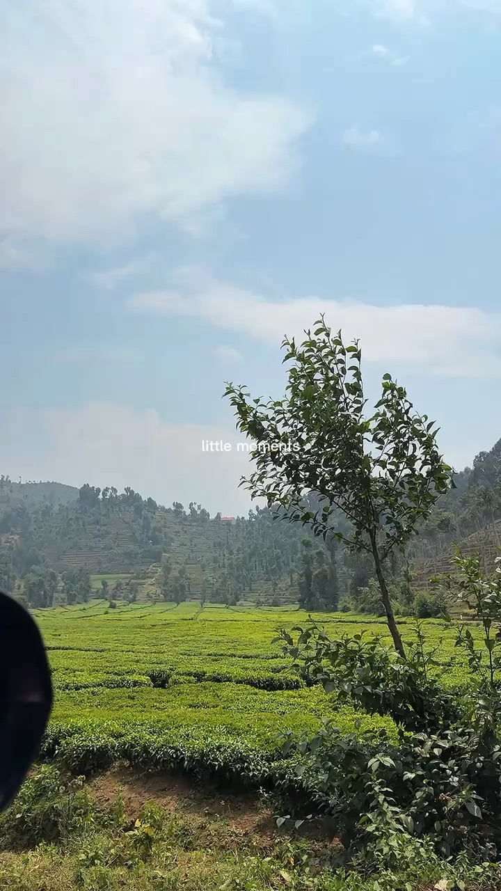 A little road trip