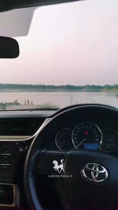 Car lover