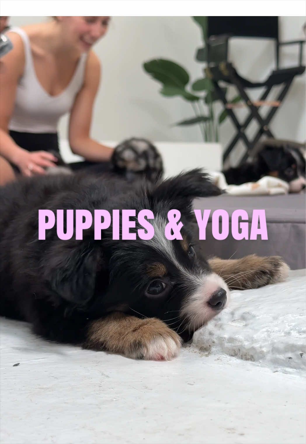 puppy therapy 🧘🏻‍♀️ happy birthday to my momma 🩷 @Puppies & Yoga US #austin #puppyyoga #puppies #yoga #austintexas