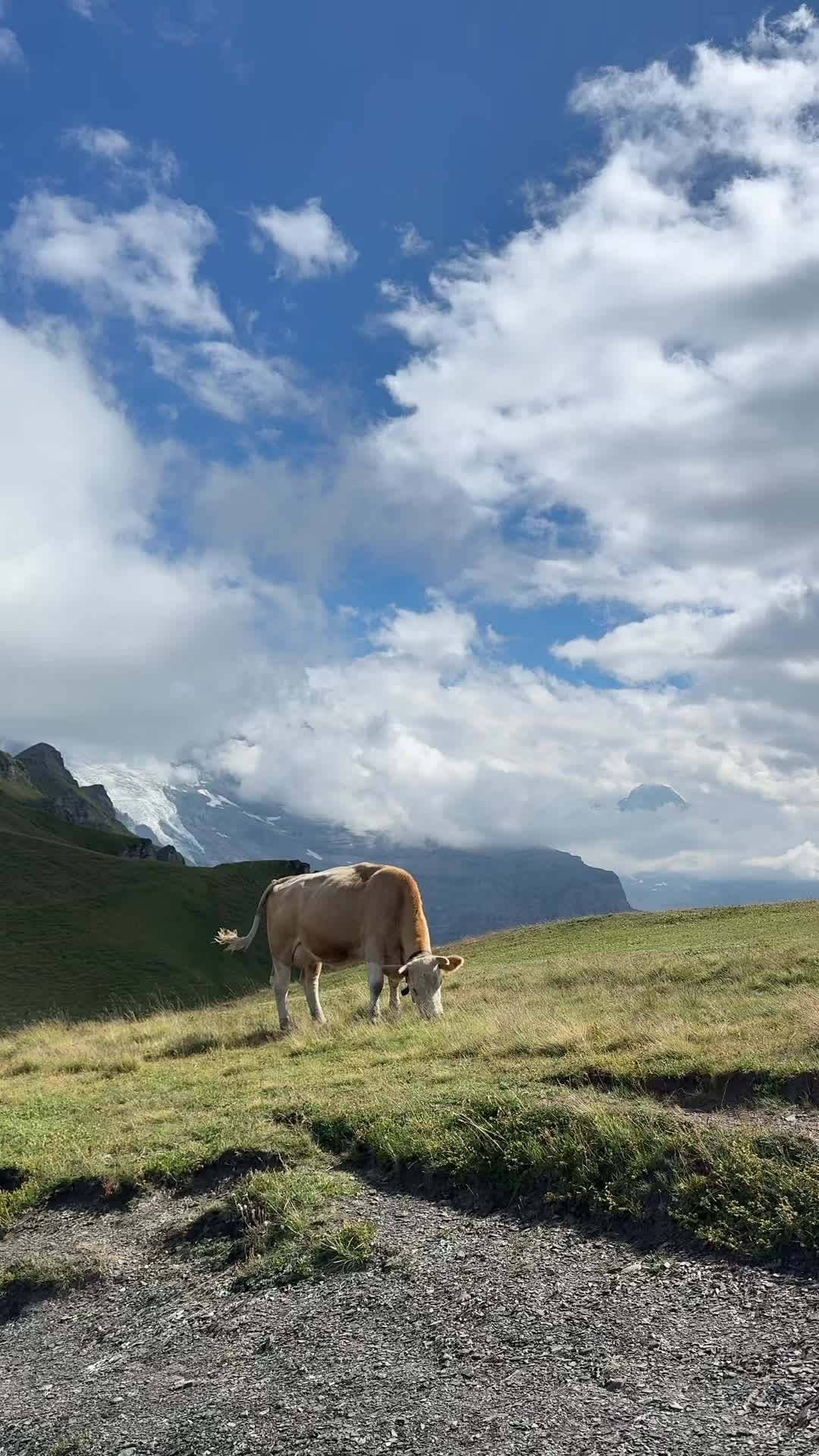 On do not disturb #switzerlandtravel #travel #switzerland