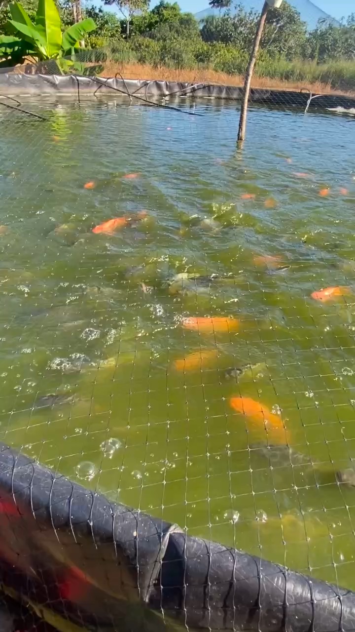 Que bonita es mi tierra