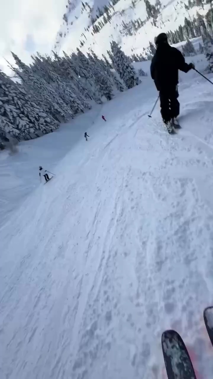 Skiing