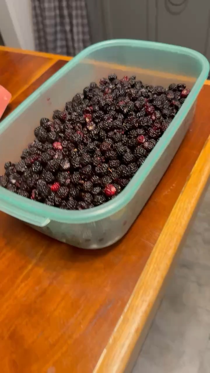 Look What I Picked This Summer!