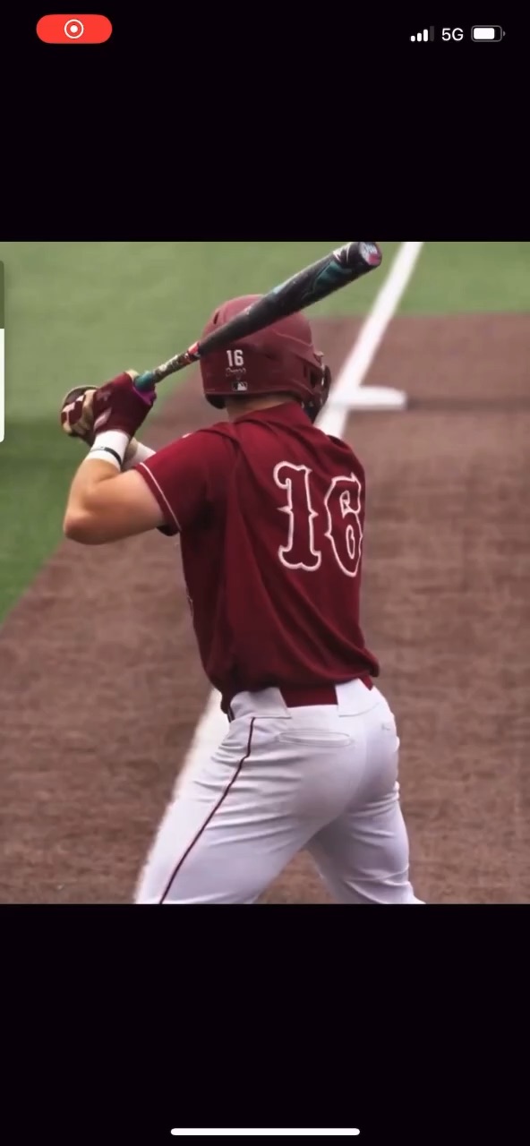 Hofstra Homer