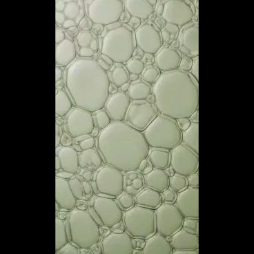 1000362084