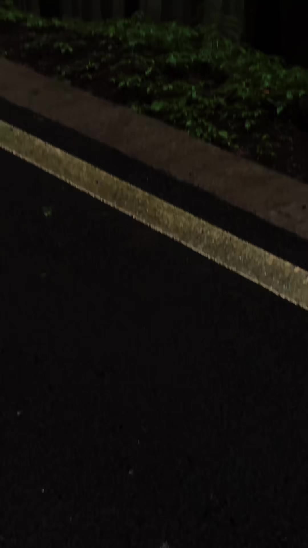TikTok post