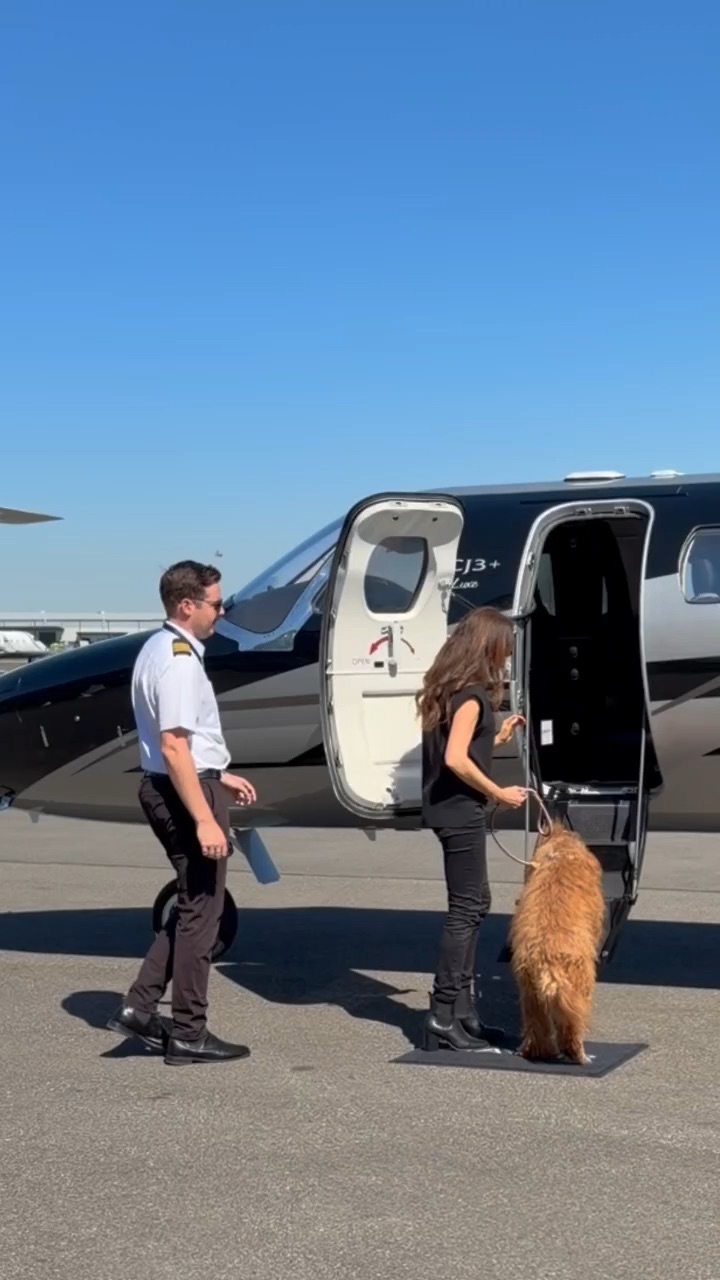 UGC for Navair (private jet company)