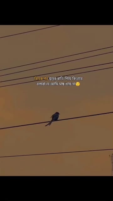 কিভাবে কমু🥺. #reels #reelsinstagram #reelsvideo #trendingreels #instagram #instagood #insta #instagramreels #viral #...