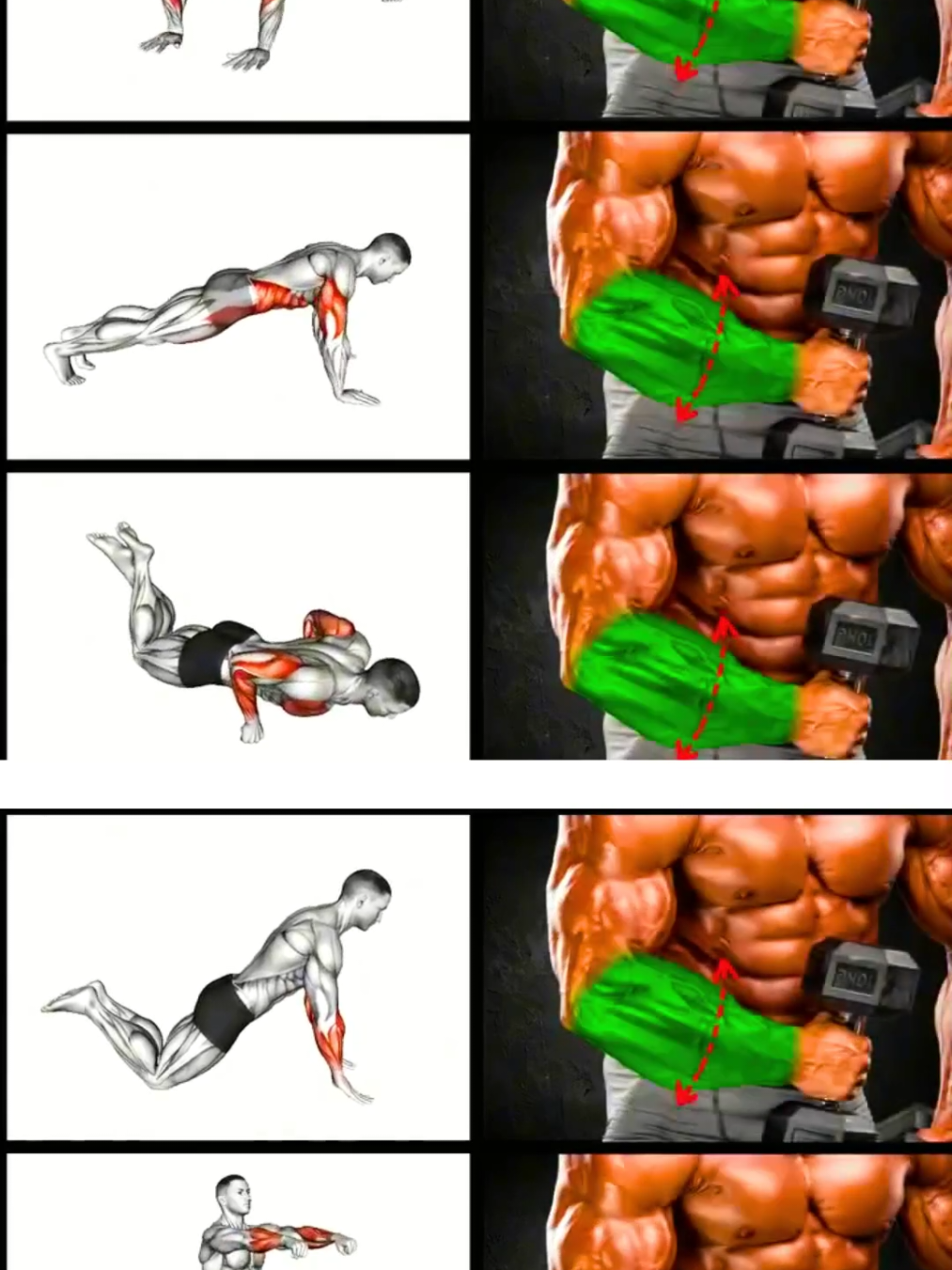 strong your hand muscles #fitness #workout #exersice