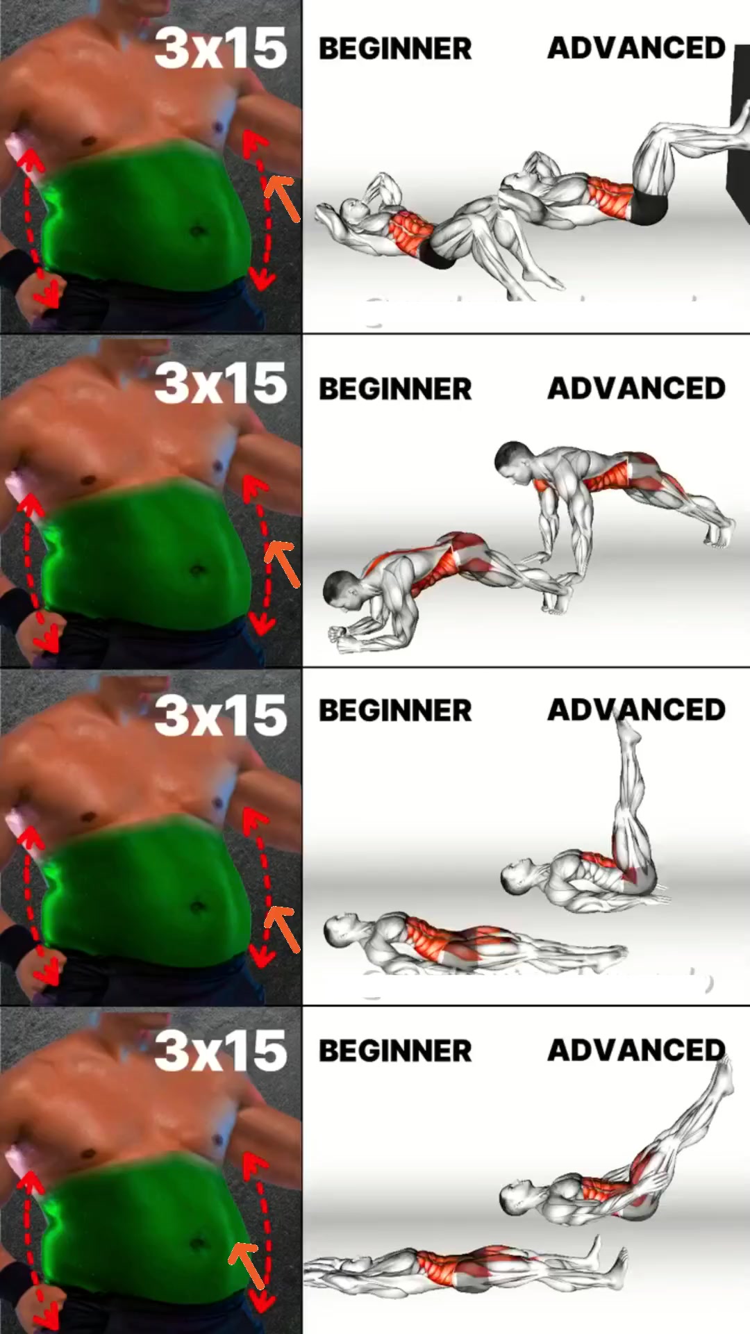 exercise for beginner #exersice ##gym #workout
