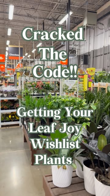 There is no one more focused and determined than a plant parent on the hunt for a wishlist plant -Don’t believe me? W...