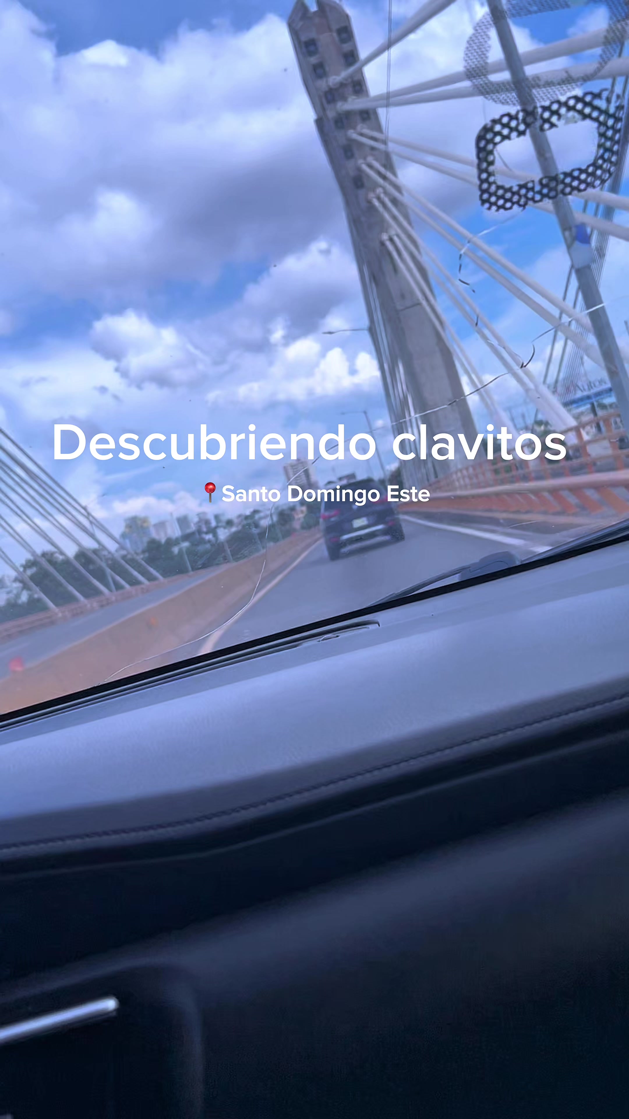 El fin de semana descubrí este clavito en Santo Domingo este, RD, 🤩 te dejaré un video hablando del lugar 🙂‍↔️🥥🌴...