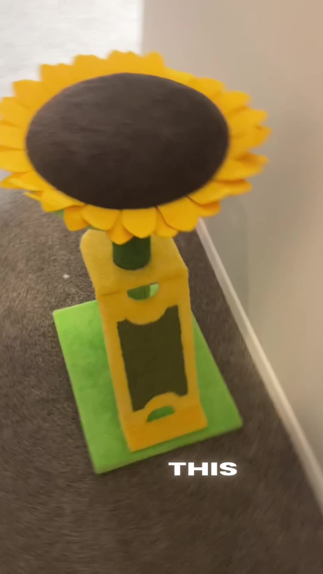 A cat scratching tower that’s cute enough to leave out and actually gets used. 🌻 My cat loves the perch, and the fur...