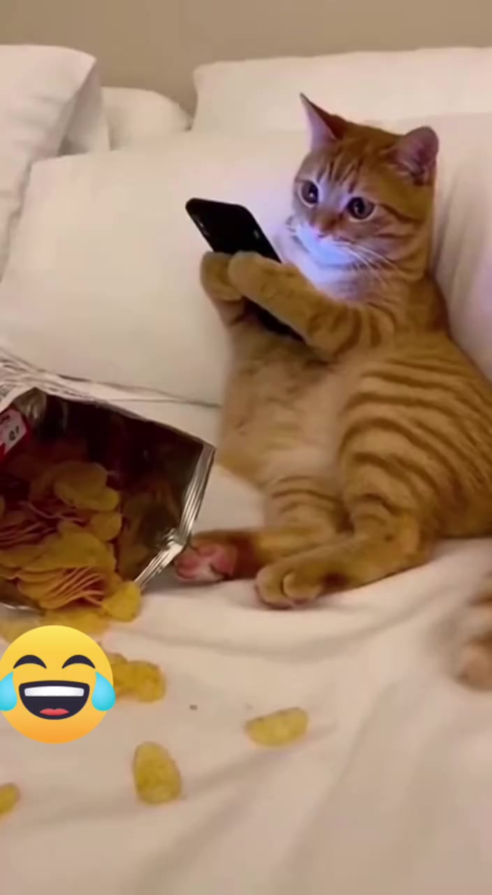 #fypage #fyp #viral_video #fypシ゚ #🤣🤣🤣