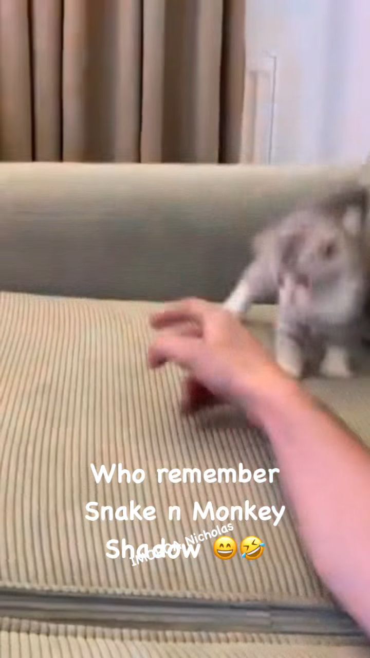 5499