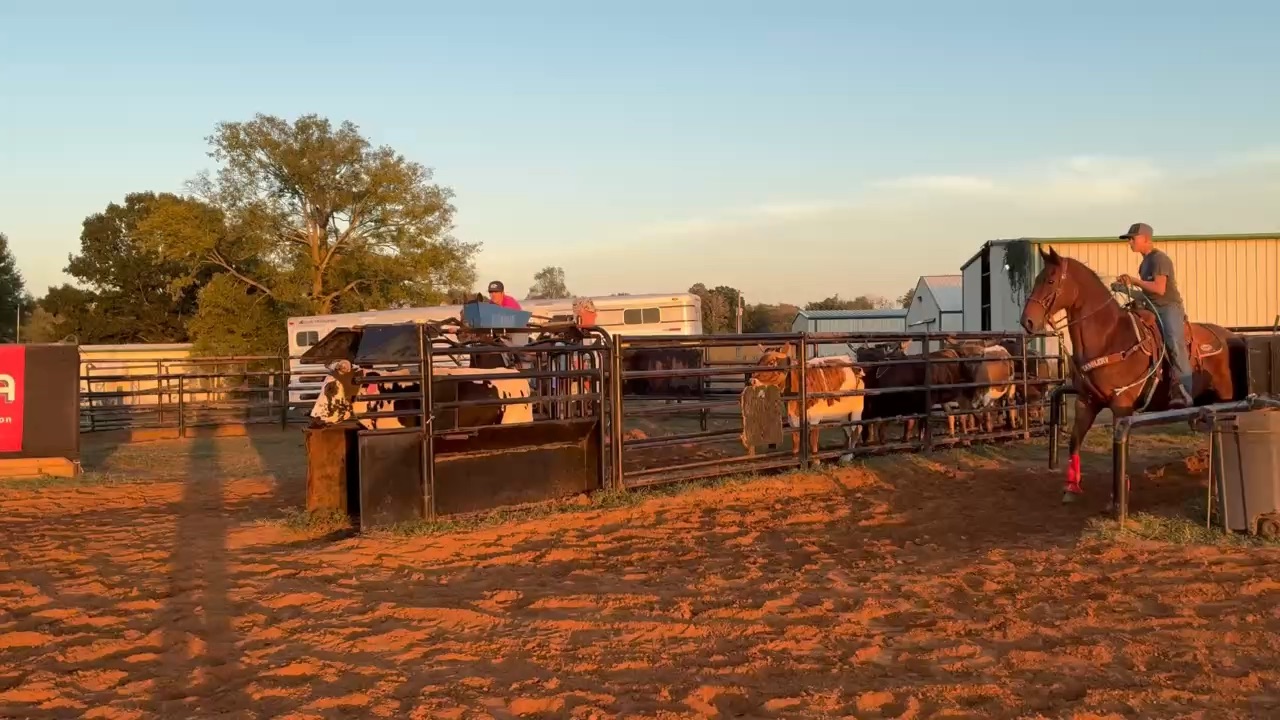 Rodeo