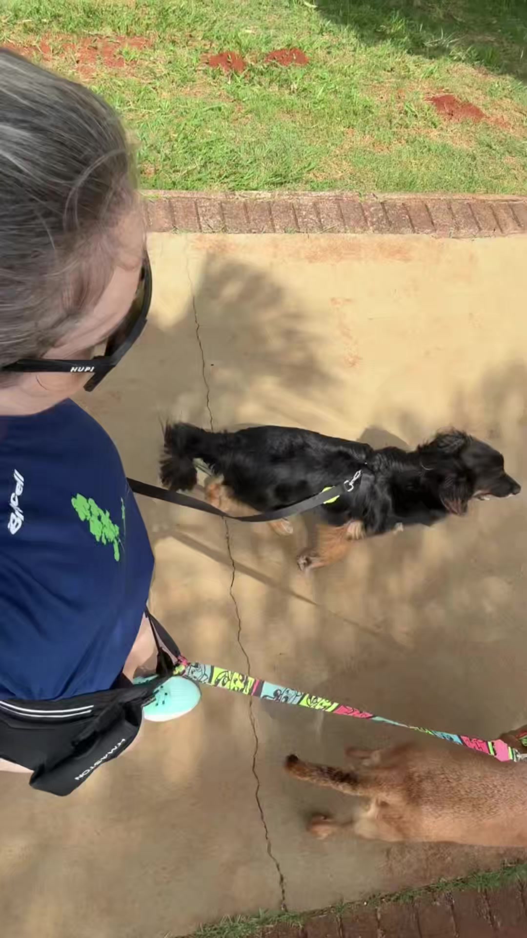 Passeio de hoje! 🐶🐾🖤