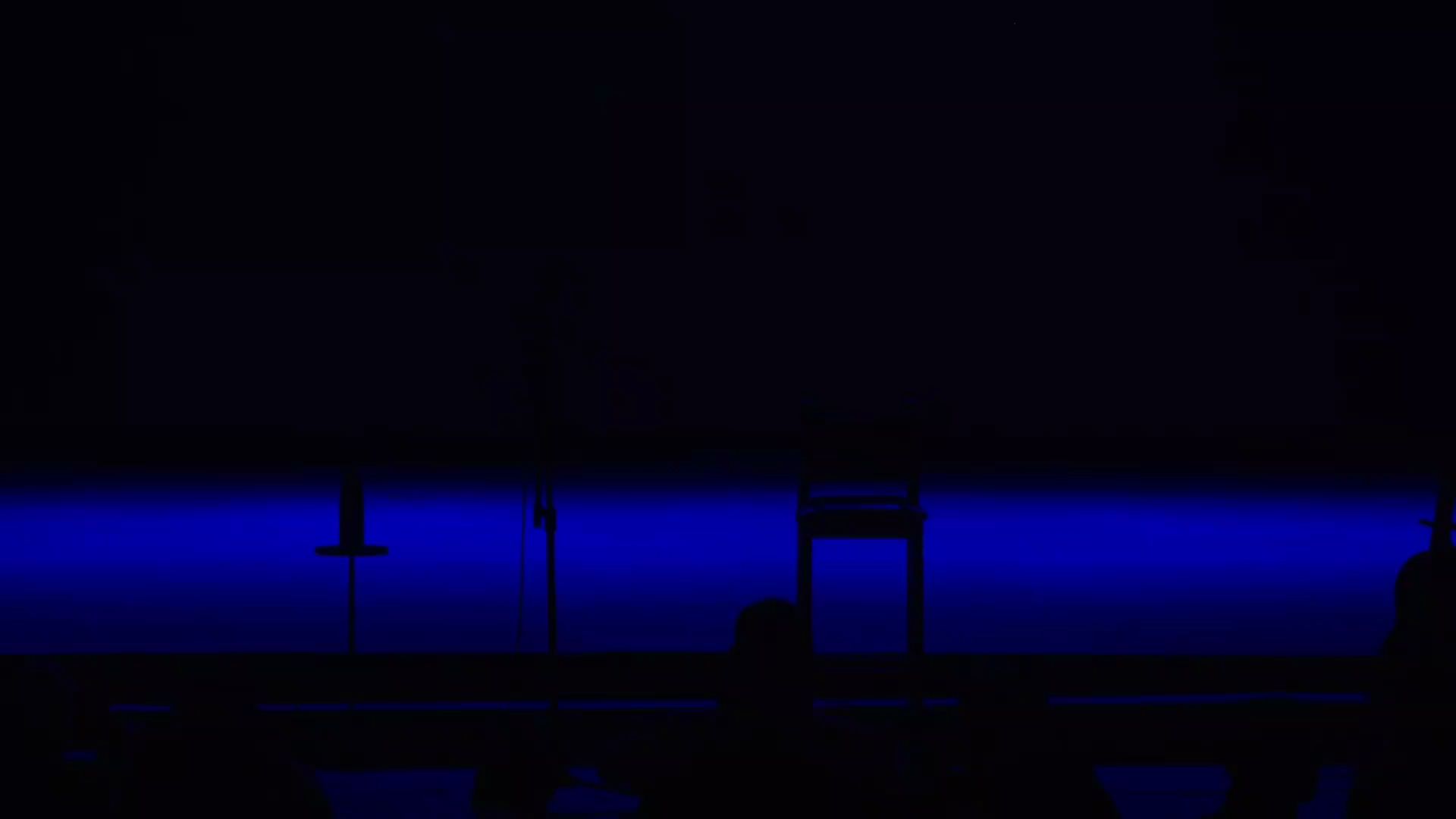 STAND UP COMEDY ( Cleibe Wilck )