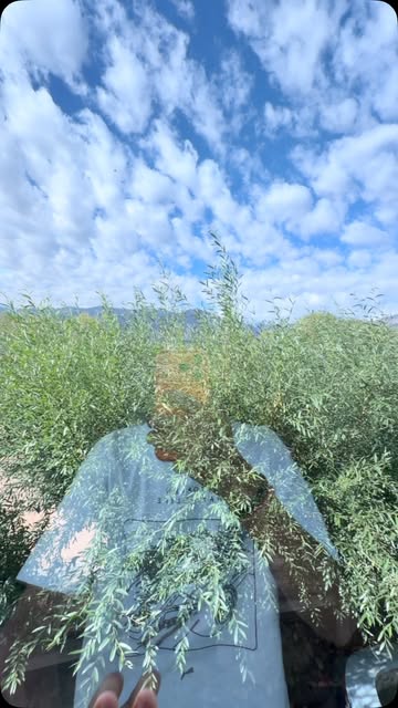 Utne jante ho jitna bta rakha hai ..!🥀# #instagood #mountains #instaviral #leh